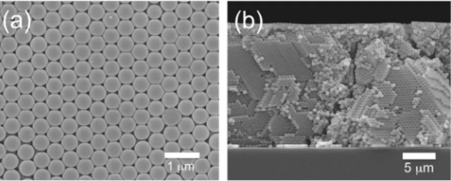 Fig. 1 exhibits the SEM images of the colloidal crystal. Fig. 1 a is a