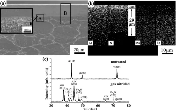 Fig. 1 (a) is the cross-sectional SEM image of the present gas- gas-nitrided alloy, revealing that the gas-nitrided layer is w30 m m-thick with the top-most 2 m m exhibiting very white appearance