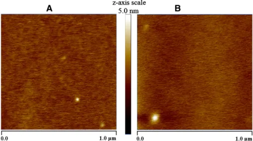 Fig. 6. AFM images of TiN x O y surface for A) sample A and B) sample B.