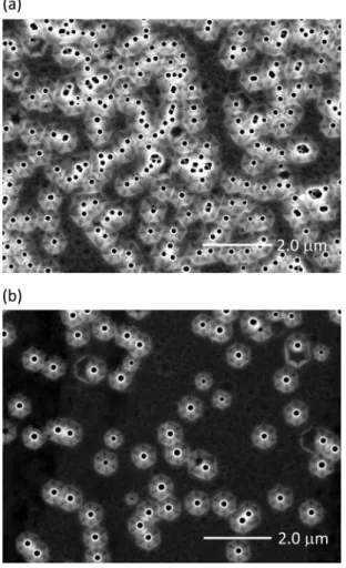 FIG. 3. Typical plane-view SEM micrographs of etch pit density with KOH etched n-AlGaN surface (a) without GMTL, (b) with GMTL.