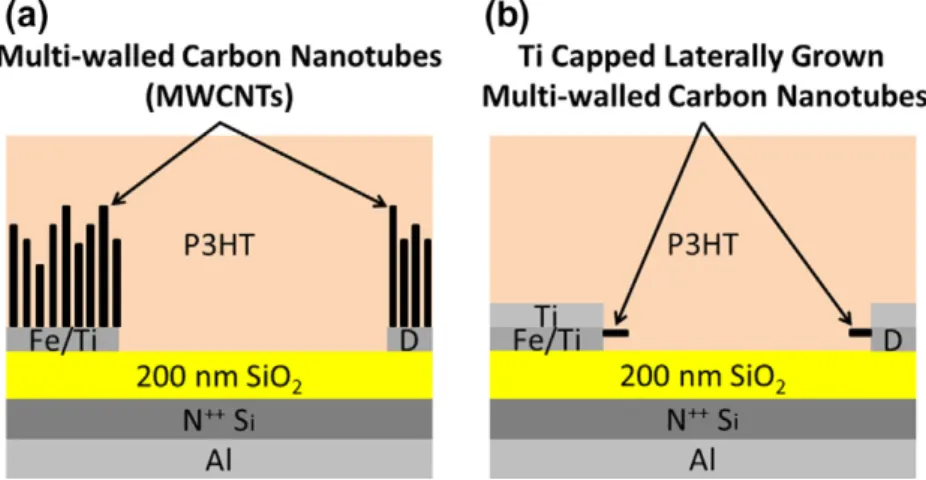 Fig. 2. Schematic cross sections of PTFTs is depicted, and PTFTs with MWCNT and Ti capped laterally grown MWCNT S/D are shown in (a) and (b), respectively.