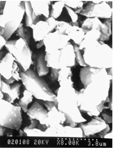Fig. 3. The SiC p powders with irregular polygonal shape.