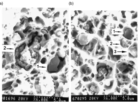 Fig. 8. SEM micrographs of the fracture surface of: (a) non-coated electrode, (b) copper coated electrode.