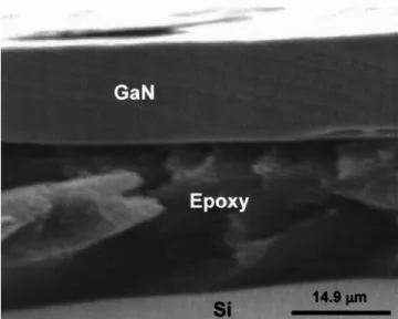 FIG. 7. A typical cross-sectional SEM micrograph of 14.9- ␮ m-thick un- un-doped sample.