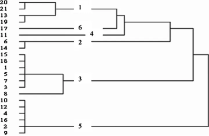 Fig. 2. Cluster analysis diagram with DEA-R weight as a variable.