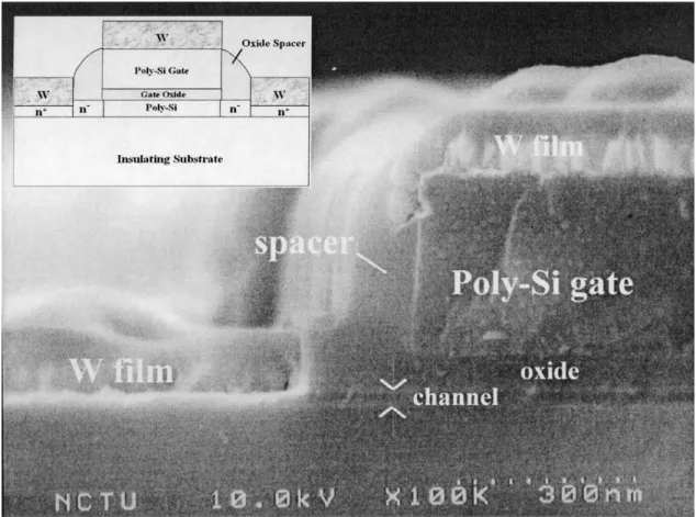 Fig. 1. Schematic cross sectional view (in the inset) and the SEM image of the proposed W-TFTs.