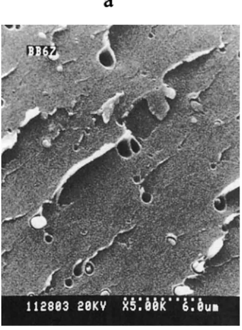 Figure  8  SEM  micrographs of  (a) 20% P46 blend mixed at 260°C for 60 min, (b) inhibited  20% P46  blend mixed at 260'C  for 60 min, (c) 30% P46 blend mixed a t  26OoC for 40 min,  and (d) inhibited 30% P46 blend mixed a t  260°C for 40 min