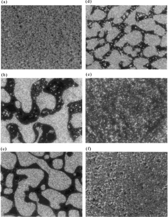 Figure 5 The birefringence pattern of ( a ) P46, ( b ) 60 / 40 P46 / PC melt-mixed for 4 min, ( c ) 60 / 40 P46 / PC melt-mixed for 8 min, ( d ) 60 / 40 P46 / PC melt-mixed for 16 min, ( e ) 60 / 40 P46 / PC melt-mixed for 32 min, and ( f ) inhibited 60 / 