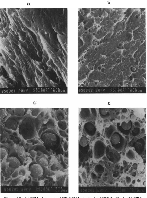 Figure  10  (a)  SEM  micrograph of 10% P46 blend mixed at 24OOC  for 10 min. (b)  SEM  micrograph of 10%  P46 blend mixed at 240°C for 60 min