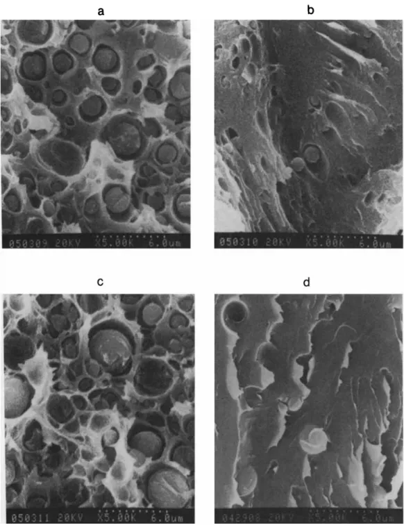 Figure  11  (a) SEM micrograph of 20% P46 blend mixed at 250°C for 10 min. (b) SEM  micrograph  of  20% P46 blend mixed at 250°C for 60 min