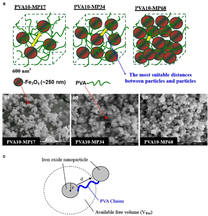 Fig. 2. (a) Models of the unit cell (600 nm 2 ) of PVA-based ferrogels which Fe