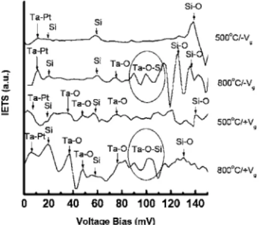 FIG. 3. Fowler-Nordheim plot of the Ta– Pt/ SiO 2 共5.5 nm兲/Si structure