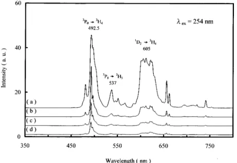 FIG. 2. PL emission spectra for Pr >-activated CaInO:xPr> phases with x"(a) 6.25;10\, (b) 0.5%, (c) 1%, and (d) 2%, respectively.
