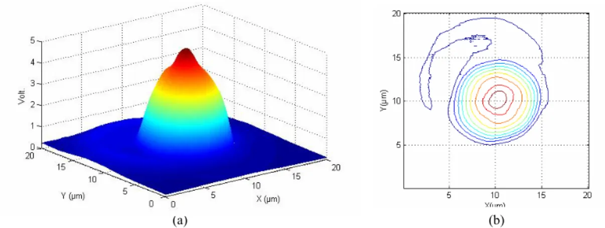 Fig. 2. (a) Light intensity (b) light intensity contour 