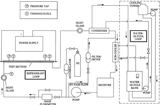 Fig. 1. Schematic diagram of the experimental system.