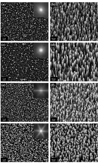 Figure 1. Top- and oblique-view SEM photographs of the vertically