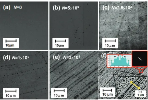 Fig. 1. (a)-(f) show the SEM images of periodic surface structures induced by 800 nm fs laser pulses at a fluence of 0.1 mJ/cm 2 and with various pulse numbers (N = 0, 5 ×10 3 , 2.5 ×10 4 , 1 ×10 5 , 3 ×10 5 , and 3 ×10 6 , respectively)