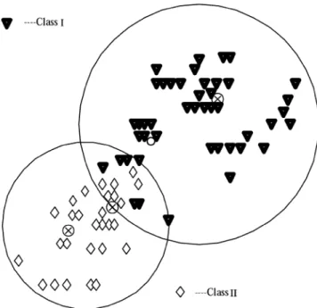 Fig. 3. Clustering arrangement allowing overlap and selecting the member points according to the labels (or classes) attached to them.