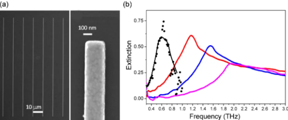 Fig. 1. (a) SEM image of gold rod structures 200 nm wide, 100 μm long and 40 nm thick