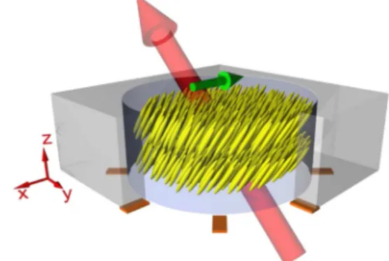 FIG. 2 (color online). Sample voltage scan data of an 11-layer R-MHPBC film at 1.25 K below T S , together with the cartoon illustrations of the relative tilt directions of the two surface layers