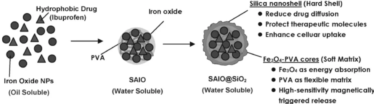 Figure 1. Schematic illustration of the synthesis and structure of the self-assembled iron oxide/silica core–shell (SAIO@SiO 2 ) nanocarriers for
