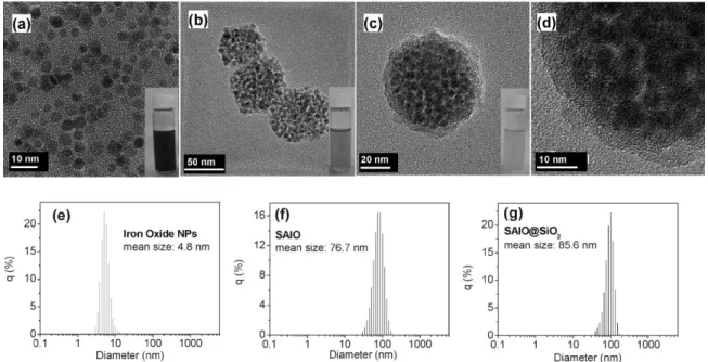 Figure 3a. Six diffraction peaks at 2u ¼ 30.1 8, 35.6 8, 43.3 8, 53.5 8, 57.2 8, 62.9 8 assigned as the characteristic peaks of standard Fe 3 O 4 crystal plane were observed (according to