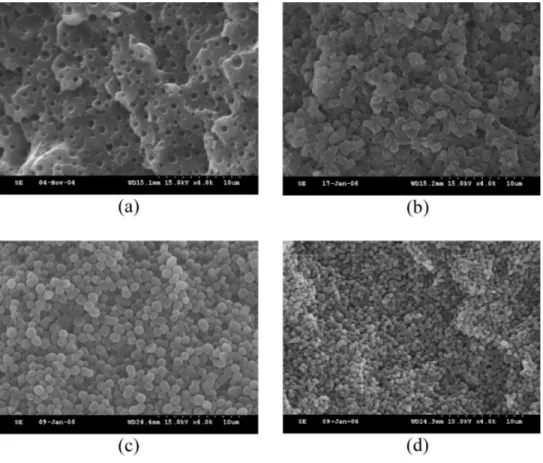 Figure 11. SEM micrographs of (a) 90/10, (b) 80/20, (c) 70/30, and (d) 60/40 poly(VB- poly(VB-a)/PEO blends.