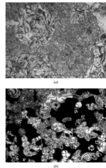 Figure 3. Polarizing optical micrographs of the B 2 phase