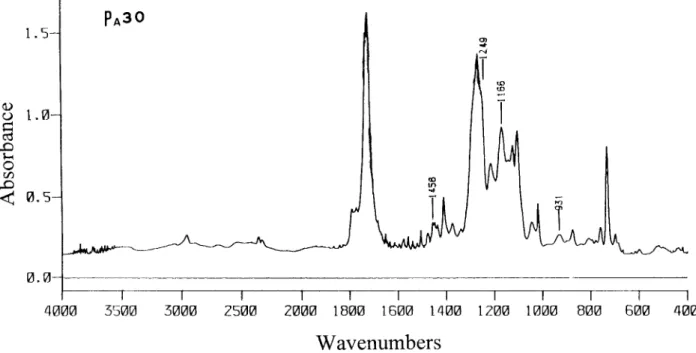 Figure 2 Fourier transform IR spectrum of P A 30.