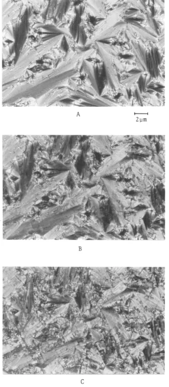 Figure  9.  Optical polarizing micrographs displayed by  VIIIP  (A) SA  texture obtained after  cooling to 160.9  'C;  (B)  Sc*  texture  obtained after  cooling  to 127  O C ;   (C) crystalline  texture obtained 