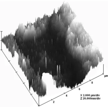 Fig. 8. Volume fractions of the CNTs in the nanocomposite films measured by EA.