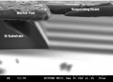 Fig. 16. Two extreme cases of the distributions of the CNTs in the nanocomposite films