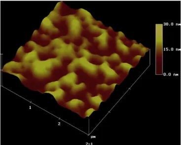 Fig. 4. AFM image of the self-assembled nanostructure of copolymer PEOP3 (from toluene).