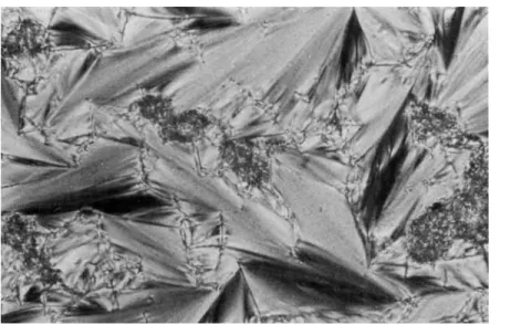 Figure 3.  Optical polarized micrographs displayed by polymer VIIIP  (400X):  ( A )  focal- 