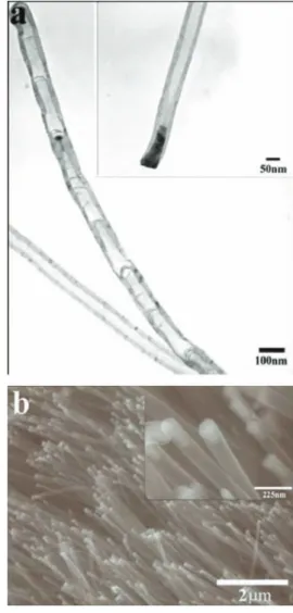 Figure 6. (a) Process flows of forming CNTs on CoSi 2 holes, oxide film