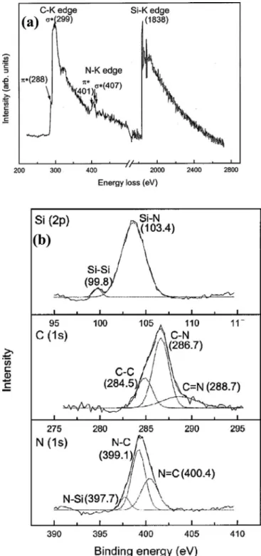 Figure 9. SEM morphologies of (a) SiCN crystals and (b) SiCN nanotubes formed using Co catalyst film.