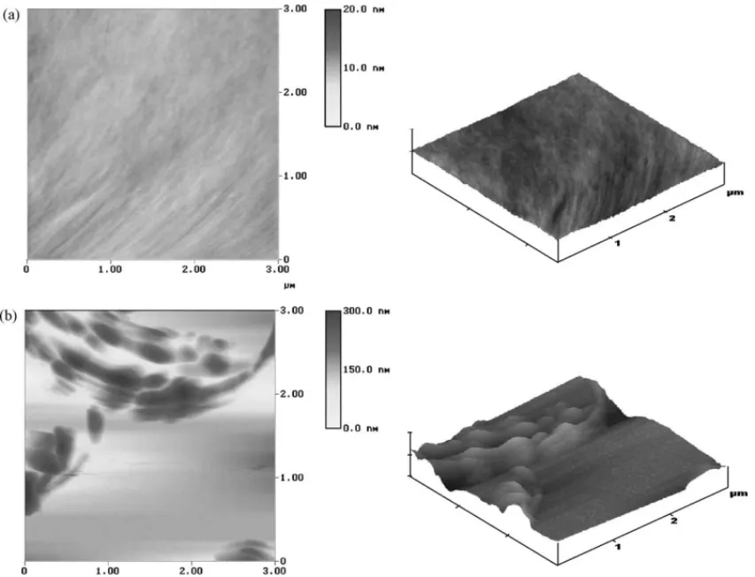 Fig. 2. AFM images (top and angled views) of: (a) an Adm-NPD layer and (b) an NPD layer, after annealing at 95 ◦ C for 3 days under a nitrogen atmosphere.
