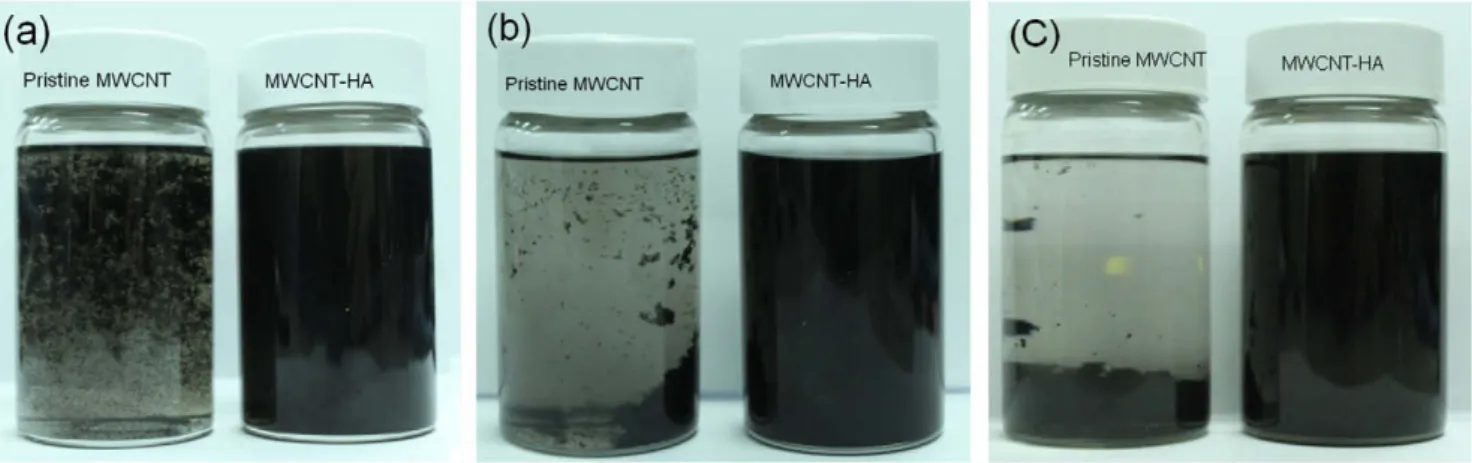Fig. 3. Raman spectra of the pristine MWCNTs and MWCNT-HA.