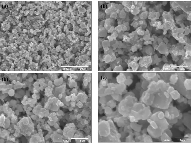 Figure 11. SEM micrographs 共a兲 2000⫻, 共b兲 5000⫻, and 共c兲 10,000⫻ of polycrstalline samples of Na 5 Eu 共WO 4 兲 2 共MoO 4 兲 2 .