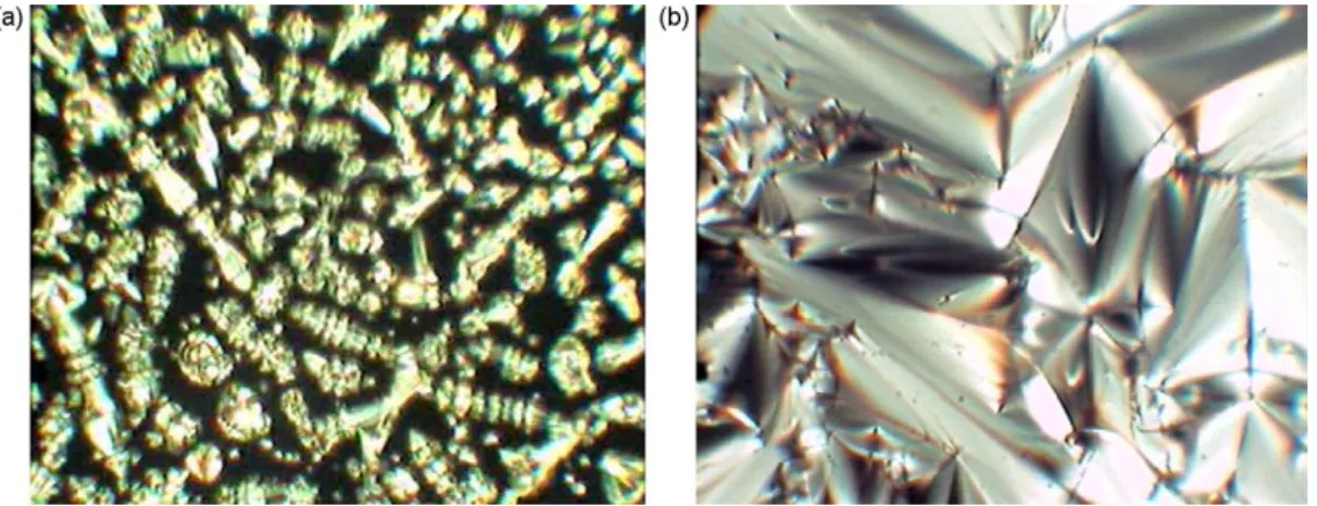 Fig. 2. Liquid crystal textures (100) of 14DMABAA on cooling. The battonets (a) coalesced to form the fan-shaped texture of SmA phase in (b).