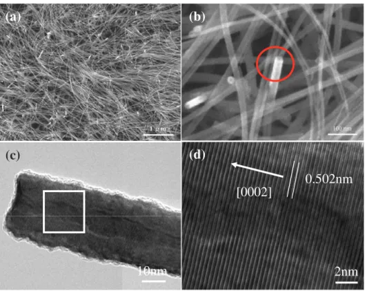 Figure 1. (a) SEM images of ZnO nanotubes. (b) High-magnification SEM image of ZnO nanotubes
