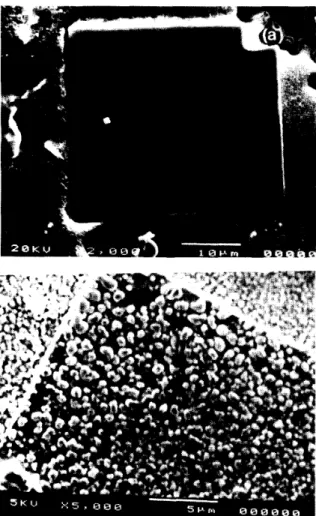 Fig.  2  X-ray  (6'  -  26'  scans normal to the film plane for  a  Tl-Ba-  Ca-Cu-0 film  containing primarily  the  2223 phase