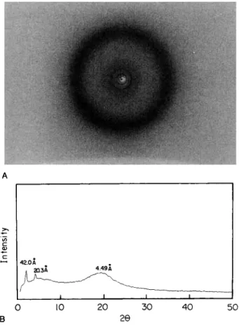 Figure 6.  ( A )  Wide-angle  x-ray diffraction  pattern of  polymer  IXP a t  30°C; ( B )  x-ray diffractometer  diagram  of  polymer  IXP a t  30°C