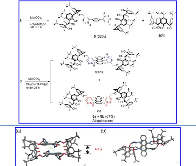 Figure 1. (a) X-ray single crystal structure of biscalix[4]arene 10 and (b) a snapshot of the structure in (a) by 90° rotation in its horizontal-axis.