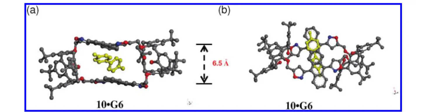 Figure 6. A possible binding mode of the complexation of biscalix[4]arene 10 with G6 (a) side view and (b) top view.