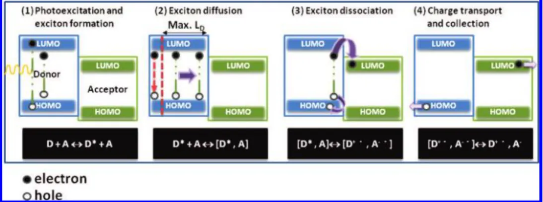 Figure 1. Working mechanism for donor-acceptor heterojunction solar cells. (1) Photoexitation of the donor to generate a Coulomb-
