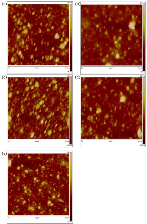 Fig. 7. AFM topographic images of (a) P3HT, (b) P1, (c) P2, (d) P3, and (e) P4 in blend with PC 60 BM.