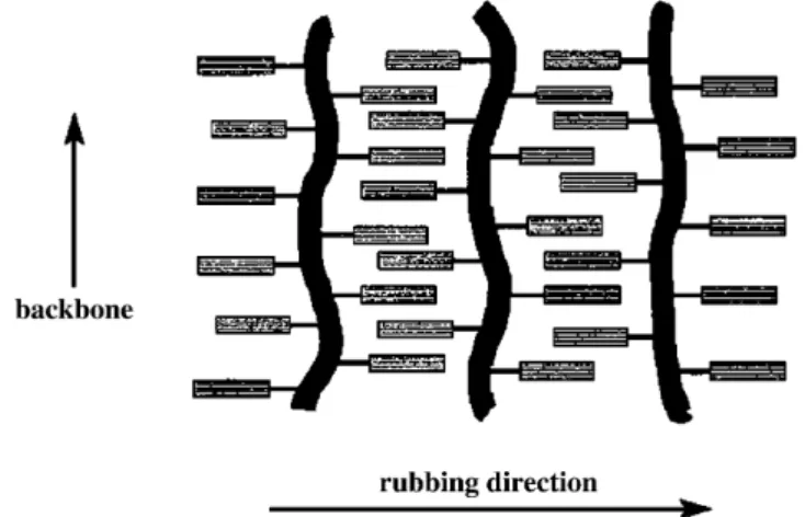 Fig. 1. Alignment of LC side groups and polymer backbones due to rubbing treatment.