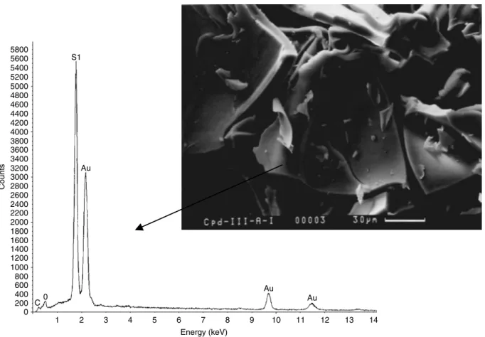 Figure 6. ESCA spectrum showing the TGA residual of the III/I system, identified as silicon dioxide; the residue itself is shown in the SEM photo.