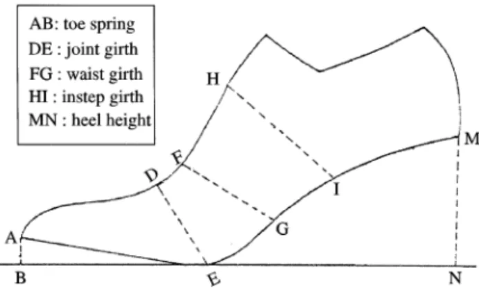 Fig. 4. Shoe last measurements.